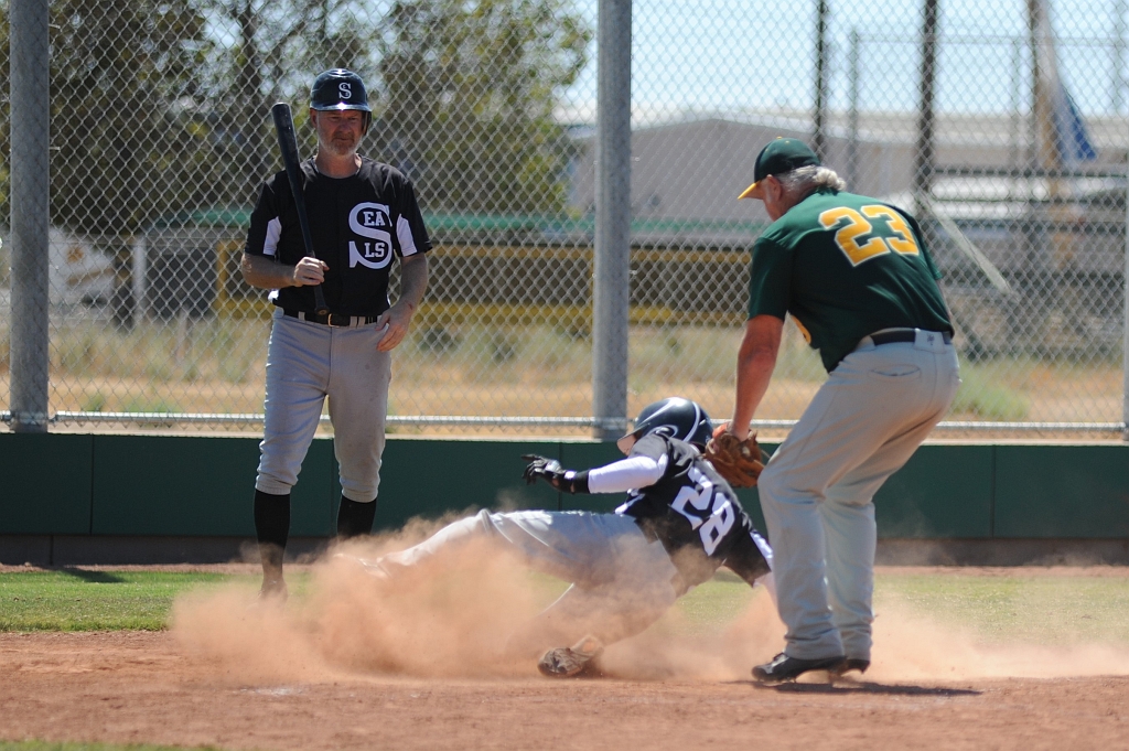 Seals_2019-08-25 (300).JPG - (c)2010 DeVetter